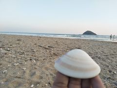 -西涌国际滨海旅游区