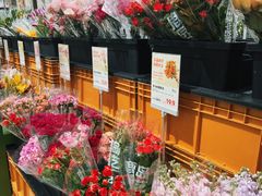 -鹿岛生活(熙地港店)
