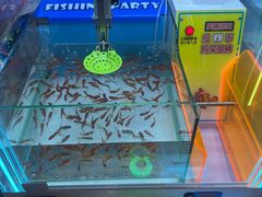 -快乐街区(成都龙湖北城天街店)