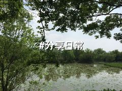 -西溪国家湿地公园