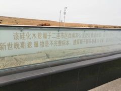 -二连浩特国家地质公园