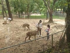 -深圳野生动物园