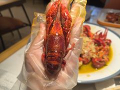 -杨氏青龙虾·羊蝎子(珠江路店)