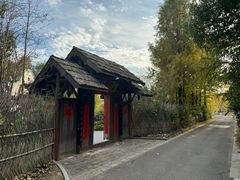 -东平国家森林公园