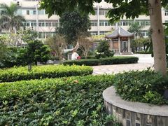 -广州中医药大学第一附属医院(总院)