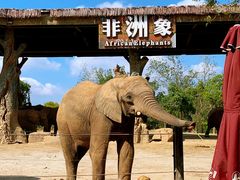 -上海野生动物园