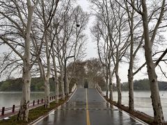 -东湖生态旅游风景区