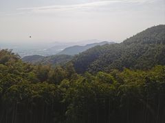 -莫干山风景区