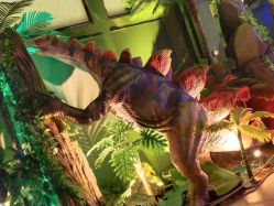 点击看大图 -恐龙探索乐园(磁器口店)