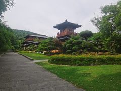 -习家池