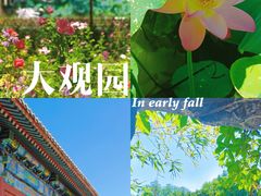 -北京大观园
