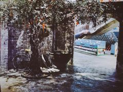 -和平菓局(王府井店)