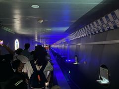 -白鹤梁水下博物馆