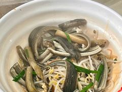 长鱼肥肠面-陈记锅盖面(长江路店)