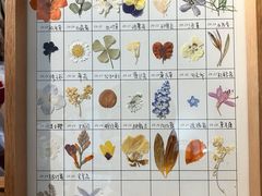 -知物癖(牛王庙店)