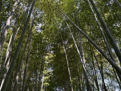 -宝岩生态观光园