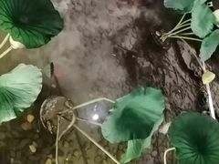 -苏浙徽·江南荟·本味融合菜(相城方圆里店)