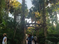 -西双版纳总佛寺