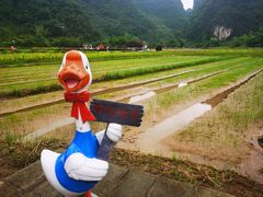 -靖西鹅泉风景区