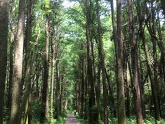 -同里国家湿地公园