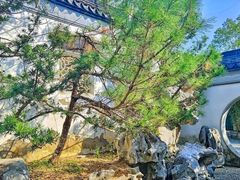 -八大山人梅湖景区