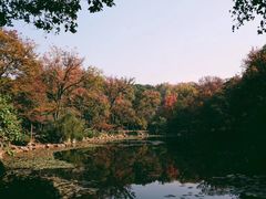 -灵谷景区