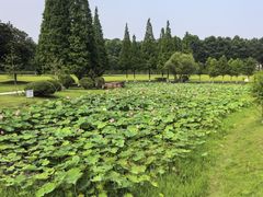 -宜兴龙背山森林公园