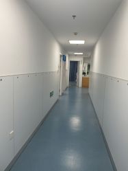 -温州伯思立医院