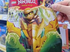 -TOYSRUS玩具反斗城(正大广场店)