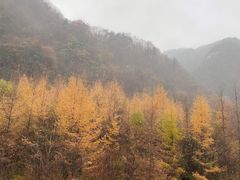 -秦岭风景区