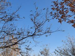 -青州市云门山风景区