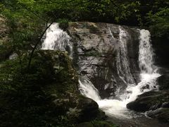 -江西阳明山国家森林公园