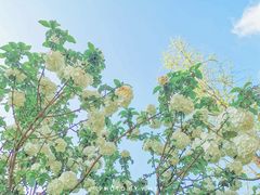 -杭州城北体育公园