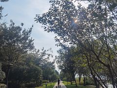-阳澄湖半岛旅游度假区