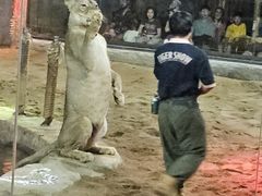 -清迈夜间动物园