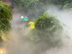 -大妙火锅·非物质文化遗产(东湖公园店)