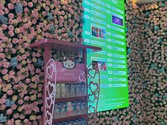 -安吉Hello Kitty乐园