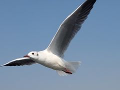 -海埂大坝