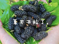 -萧山区金辰之光幼儿园