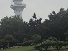 -日照灯塔风景区