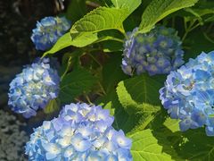 -生宇山珍野生菌汤锅•始于1999(双流古塔店)