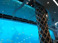 -瑞德姆美人鱼海底演艺主题餐厅(亚龙湾店)