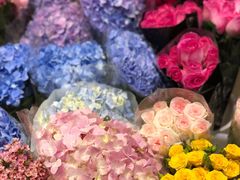 -双季花艺园艺市场(浦东店)