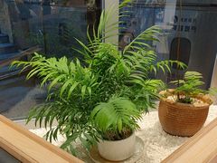 -卡朋西餐(东方广场店)