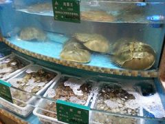 -海中洲渔社