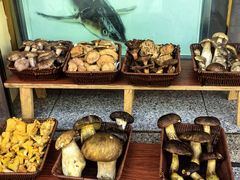 -草墩罗非鱼庄•野生菌•腊排骨(七星街上段店)