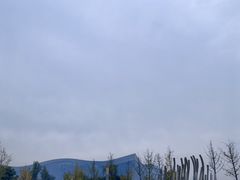 -桂溪生态公园