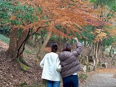 -永安水煮活鱼·仪征淮扬菜
