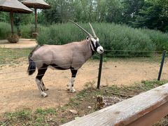 -大连森林动物园