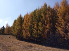 -塞罕坝国家级自然保护区